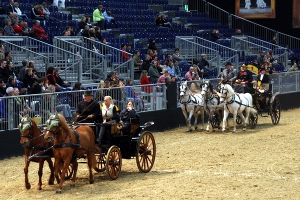 Pferd und Jagd 2008  065.jpg